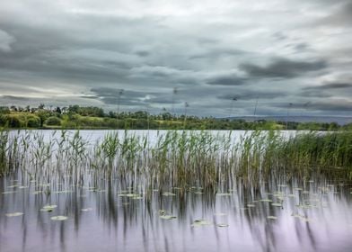 Woodford River