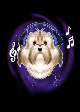 Music Lover I Havanese