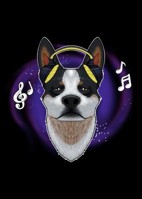 Australian Cattle Dog DJ