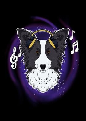 Music Border Collie