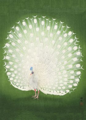 Peacock Japanese art