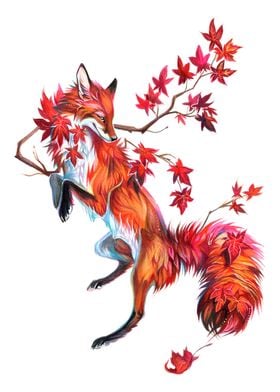 Japanese Maple Fox