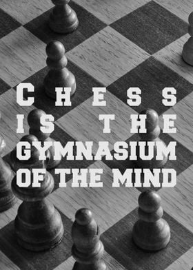 Chess is the gymnasium 