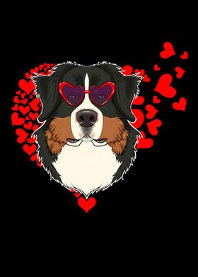 Bernese Mountain Dog Lover