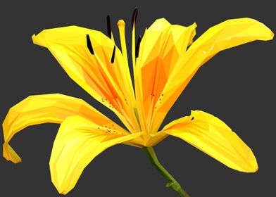 Yellow Lilly Lowpoly