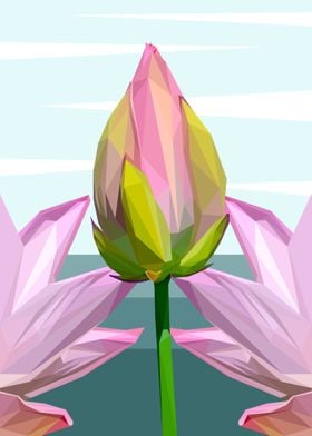 Lotus Flowers in Lowpoly