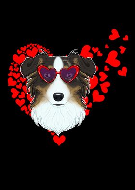 Australian Shepherd Lover