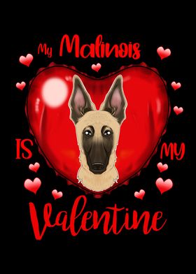 Malinois Valentines Day