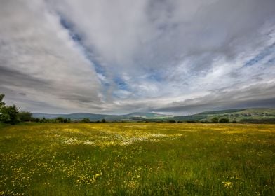 Wicklow Mountains