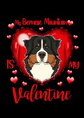 Bernese Mountain Dog 