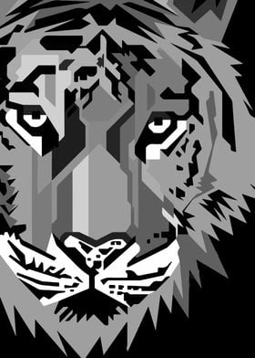 tiger