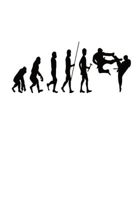 Karate Evolution