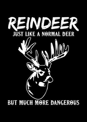 Reindeer Joke Christmas