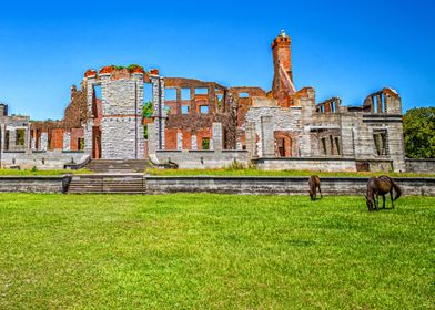 Cumberland Island