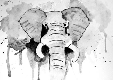 Elephant Watercolour BW