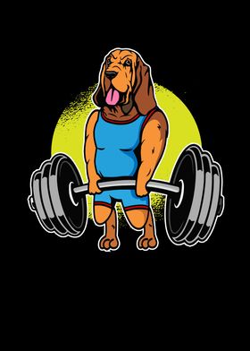 Bloodhound Weightlifting I