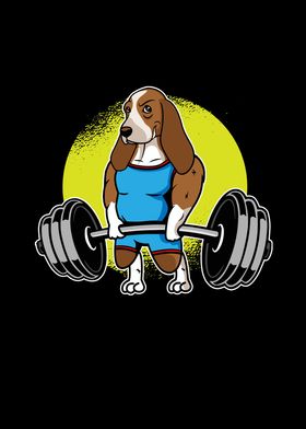 Basset Hound Weightlifting