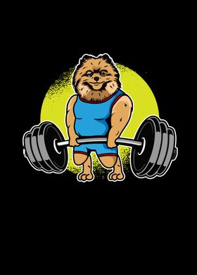 Pomeranian Weightlifting I