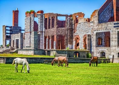 Cumberland Island Horses