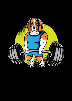 Beagle Weightlifting I