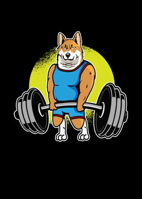 Shiba Inu Weightlifting I