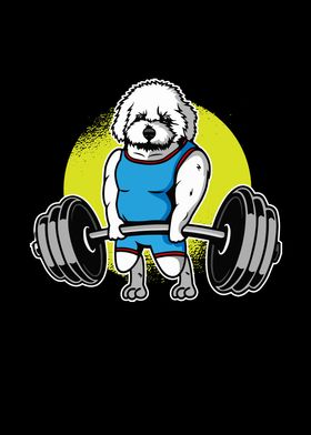 Bichon Frise Weightlifting