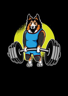 Collie Weightlifting I