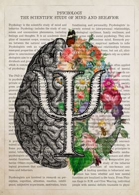Psychology Brain Anatomy