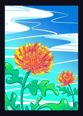 Chrysanthemum 1