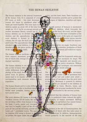 Poster anatomie vintage  Vintage posters, Human muscle anatomy