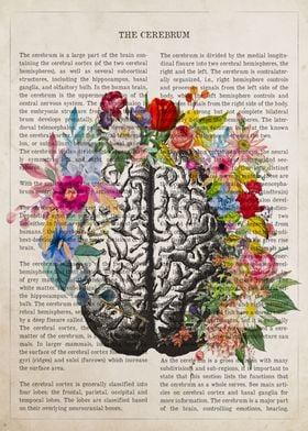 Cerebrum Flower Anatomy