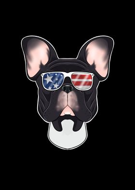 French Bulldog USA Frenchi