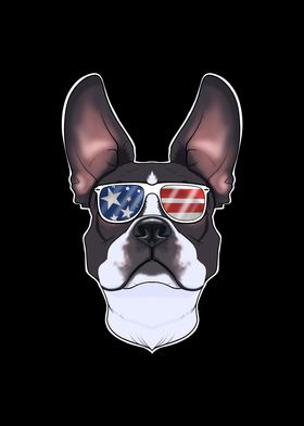 Boston Terrier USA