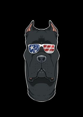 Cane Corso USA Sunglasses