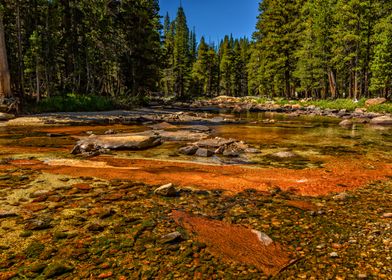 Dana Fork Trail Yosemite