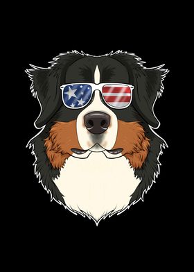 Bernese Mountain Dog USA