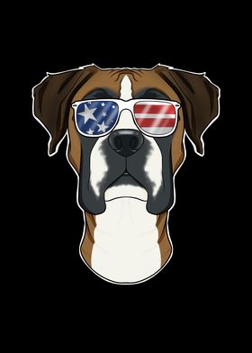 Boxer USA Sunglasses