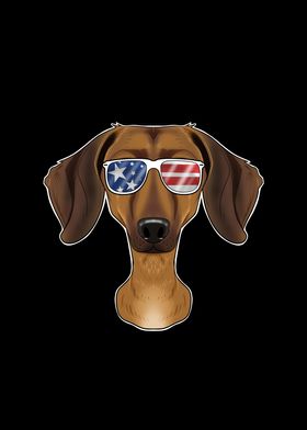 Dachshund USA Sunglasses