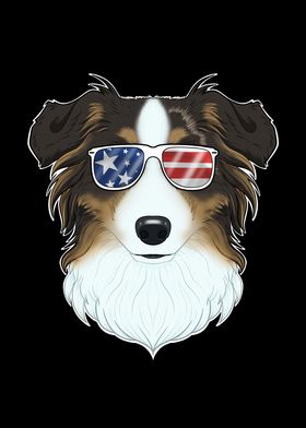 Australian Shepherd USA