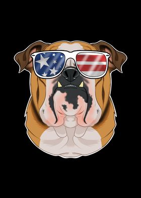 English Bulldog USA