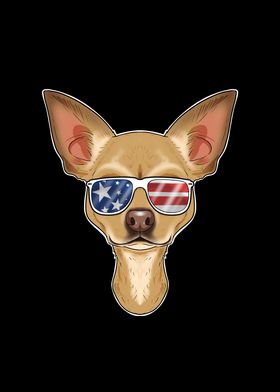 Chihuahua USA Sunglasses