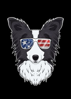 Border Collie USA