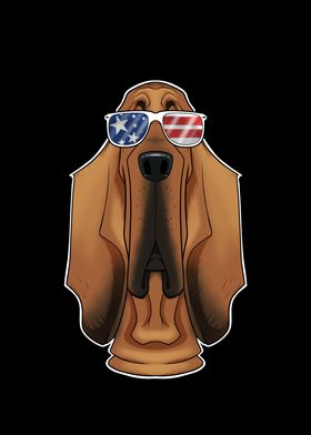 Bloodhound USA Sunglasses