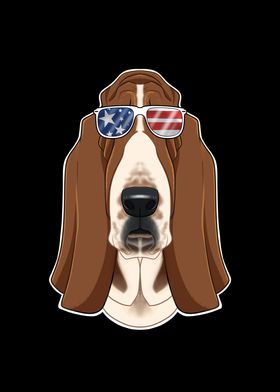 Basset Hound USA