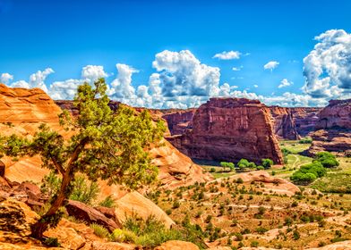 Canyon de Chelly Arizona