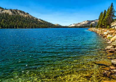 Tenaya Lake Yosemite