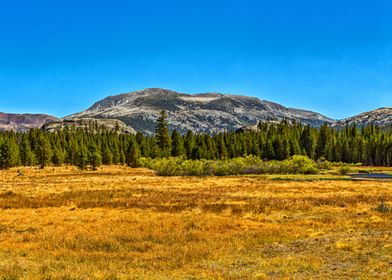 Mammoth Peak Yosemite