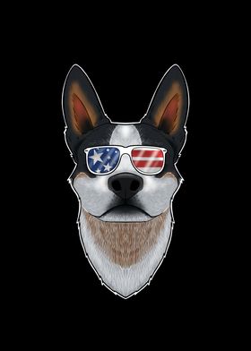 Australian Cattle Dog USA