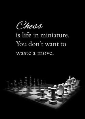 Chess and Life