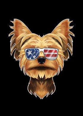 Yorkshire Terrier USA